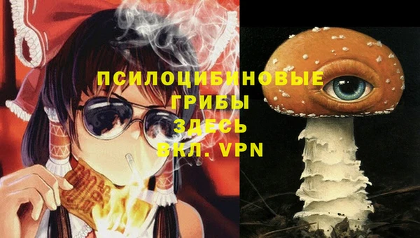 метадон Аркадак
