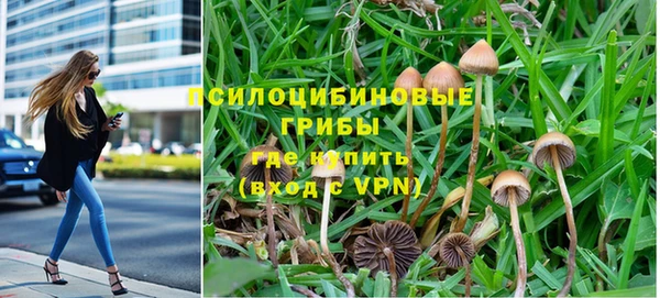 Альфа ПВП Арсеньев