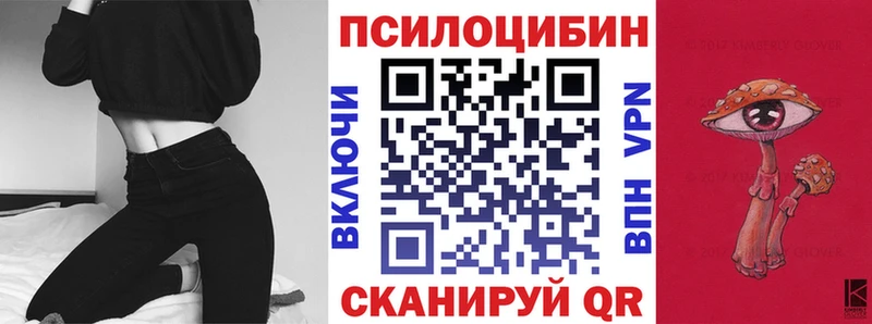 кракен зеркало  Удачный  Псилоцибиновые грибы мицелий 